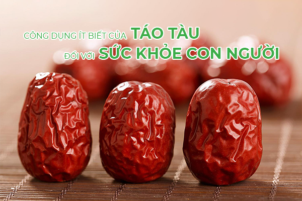 công dụng của táo tàu