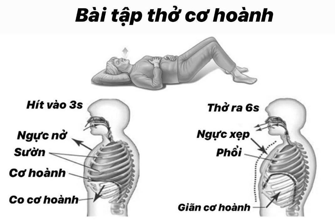 Thở cơ hoành