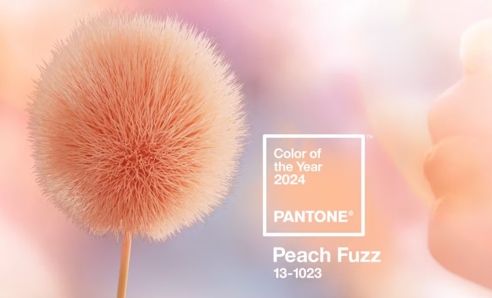 pantone 3-1023 Peach Fuzz