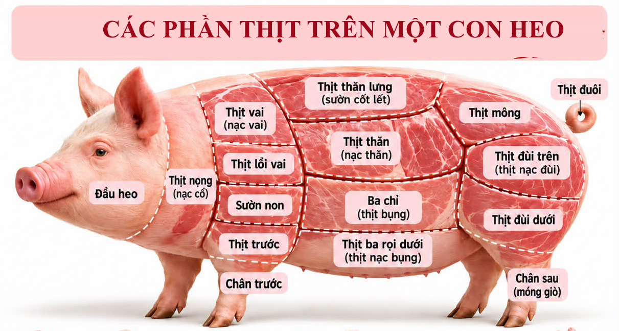 các phần thịt trên một con heo
